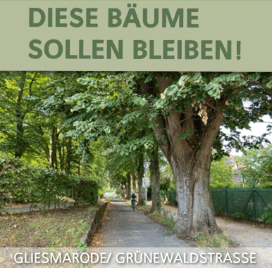 Baum-Allee erhalten, Bahnübergang statt Tunnel